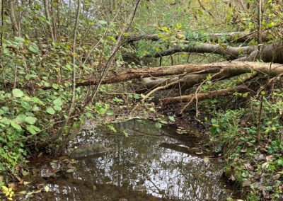 Arbeiten im Verbansgebiet