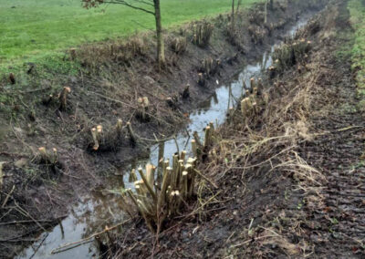 Arbeiten des Wasser- und Bodenverband Lippingau