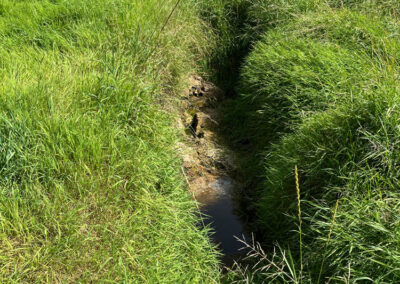 Arbeiten des Wasser- und Bodenverband Lippingau