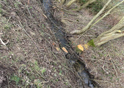 Arbeiten des Wasser- und Bodenverband Lippingau