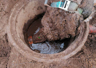 Baumwurzeln verstopfen die Drainage