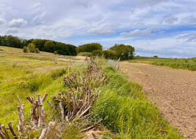Arbeiten des Wasser- und Bodenverband Lippingau