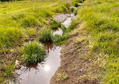 Arbeiten des Wasser- und Bodenverband Lippingau