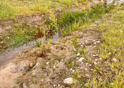 Arbeiten des Wasser- und Bodenverband Lippingau