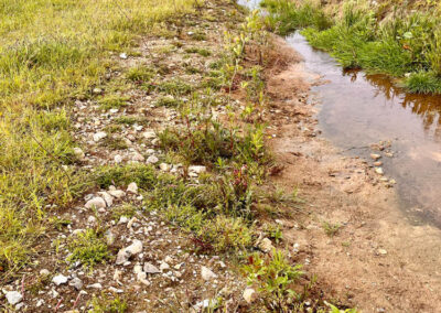 Arbeiten des Wasser- und Bodenverband Lippingau