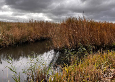 Habernisser Au / J1 12.10.25