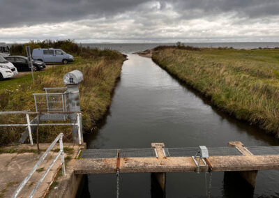 Auslauf Habernisser Au 12.10.25