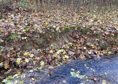 Arbeiten des Wasser- und Bodenverband Lippingau