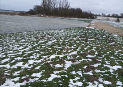 Ohrfeldhaff 08.01.26 Die Erhöhung hat sich gelohnt